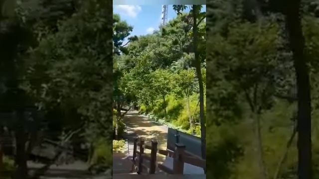 Моя любимая Корея смотреть онлайн