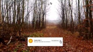 Как Степан и Пиги искали Деда Мороза и заболели