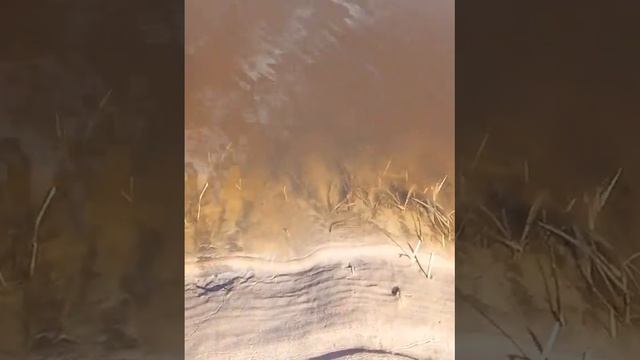 Поход по реке Быстрице.28-е апреля 2017 года. смотреть онлайн