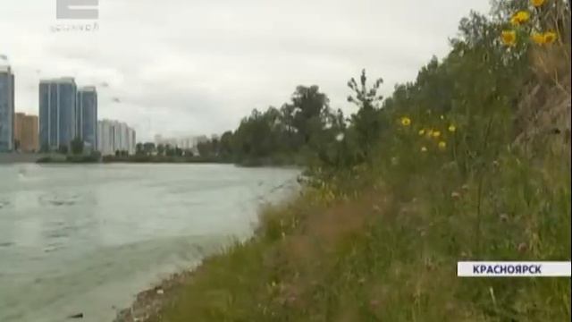 Сегодня в южных и центральных районах края ожидаются грозы и сильный ветер до 25 м/с смотреть онлайн