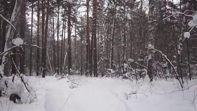 Малый поход в лес смотреть онлайн