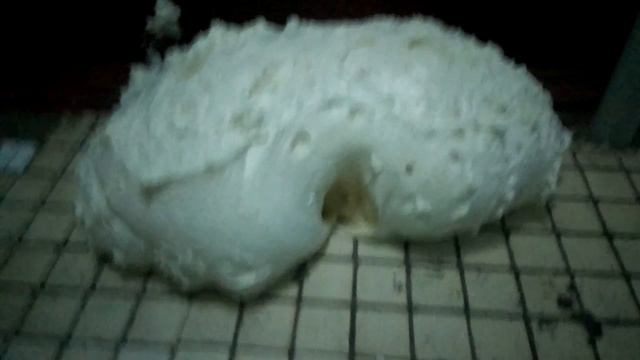 Аномалия в подъезде!(что это,блеа,такое?!) смотреть онлайн