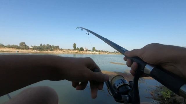 ВЕЛОПОХОД НА РЫБАЛКУ, РЫБАЛКА НА СЫРДАРЬЕ смотреть онлайн