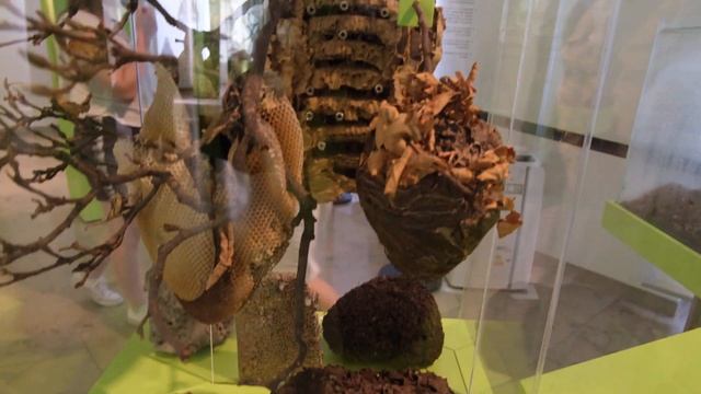 Германия (и Франция) - Ден 3 - Страсбург и Карлсруе | ВЛОГ смотреть онлайн