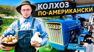 Настоящая американская ферма / Что я решил про обучение на врача / Работаем руками в колхозе