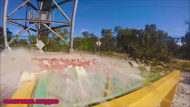 АРБУЗ разбился посмотри на это с высокой высоты падае? смотреть онлайн