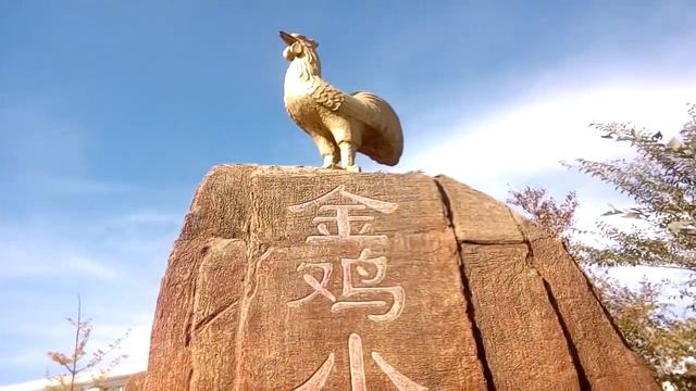 23.10.2017 Заметки из Китая. Памятник героическому петуху смотреть онлайн