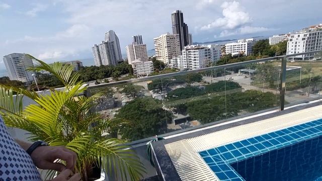 The Winner - вид с крыши, бассейн смотреть онлайн