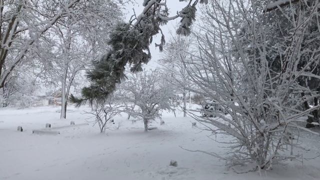 Зима в Саках (первый снег) в 2019 году смотреть онлайн