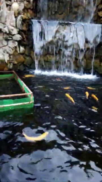 Армения,красивые места, пруды с форелью🐟🐟🐟🐟 смотреть онлайн