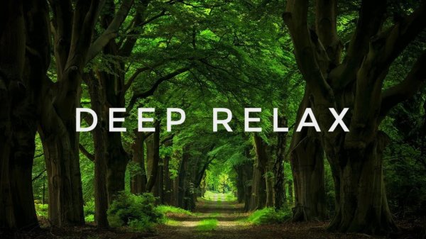 РЕЛАКС МУЗЫКА Deep Relax ✨🎧 Красивая Расслабляющая мелодия. Музыка природы 🔉✨