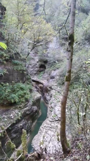 #краснодарскийкрай #2023 #октябрь #гуамскоеущелье #гуамка #васильки #базаотдыха смотреть онлайн