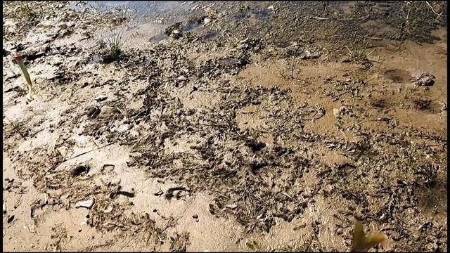 Щука на каждом забросе! смотреть онлайн