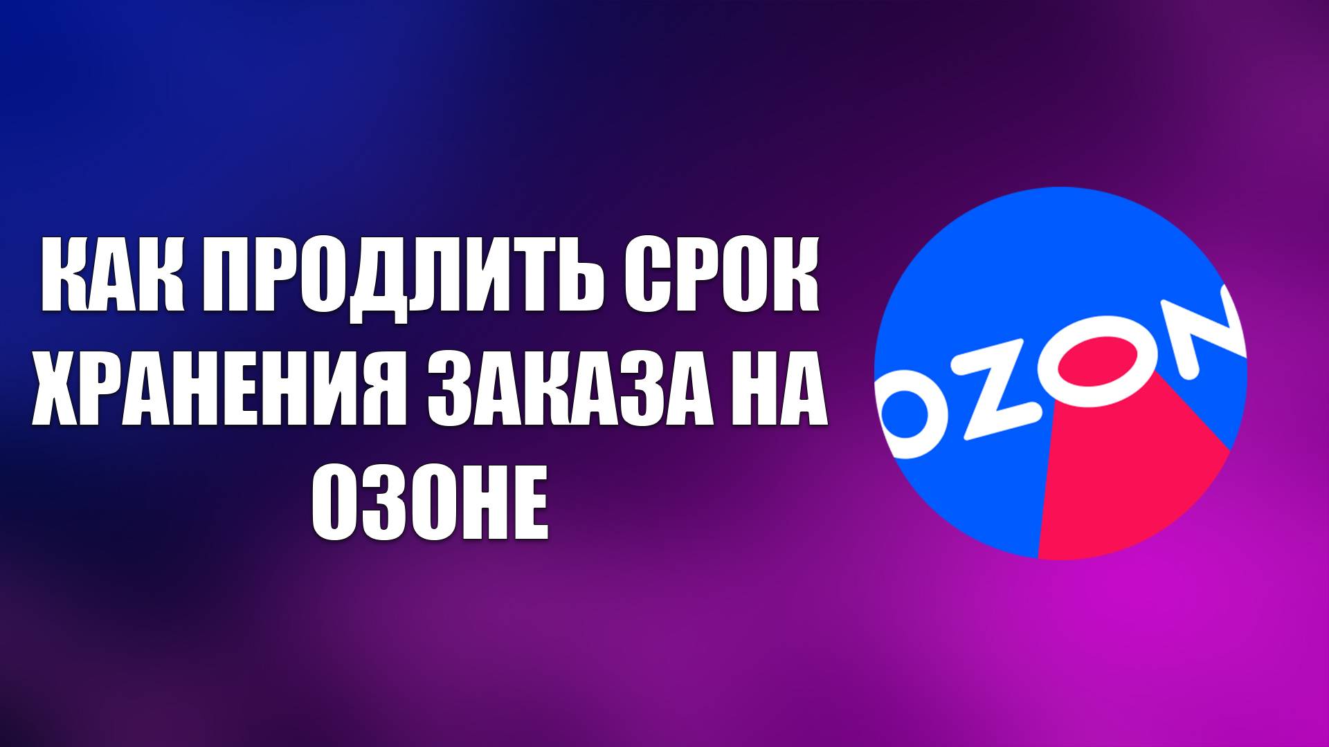 Всезнающий Енот