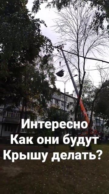 А как крышу делать? #shorts #2022 #осень #тамбов #абзурд68
