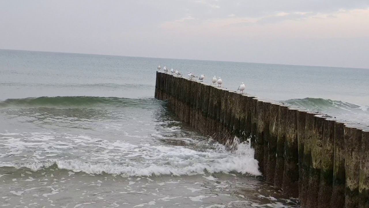 Море, чайки 1 смотреть онлайн