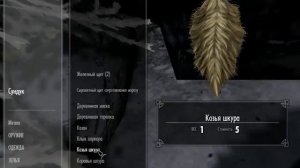 The Elder Scrolls: V Skyrim - ТАЙНЫЙ СУНДУК В ДАНСТАРЕ!