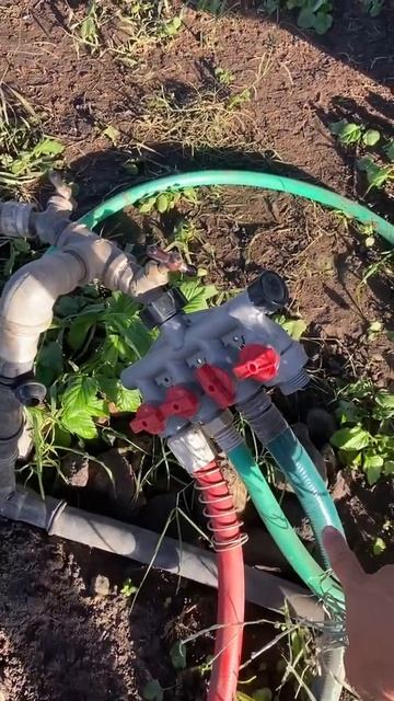 Big pasture: hose set up смотреть онлайн