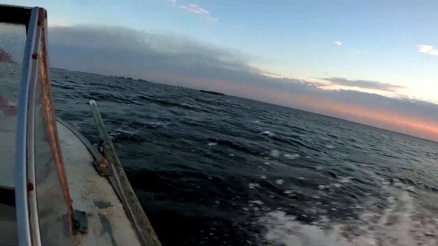 ОХОТА на УТКУ. ЛУЧШИЕ ЭПИЗОДЫ сезона охоты на утку 2019 года. (часть вторая). Duck hunt. смотреть онлайн