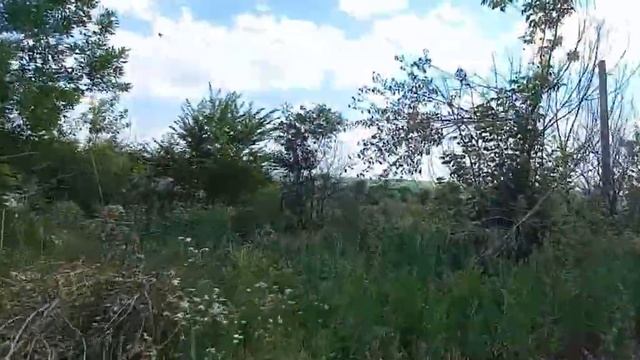 Красное, Красненский район