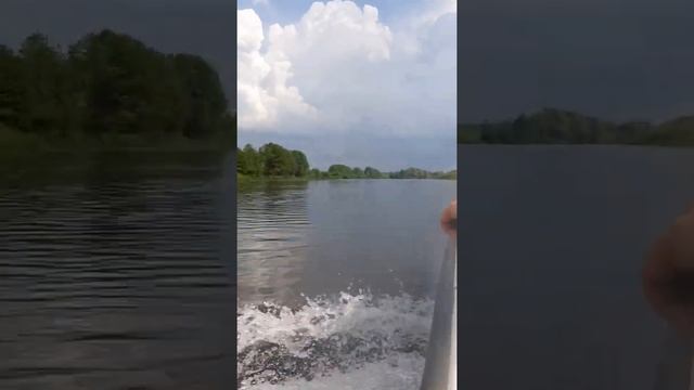 Лесное Ялтуново с 11.06 по 14.06.2021!))) смотреть онлайн