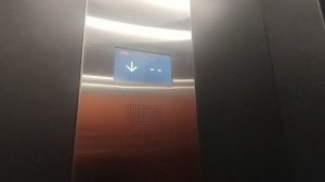 говорящие лифты МЭЛ от пик