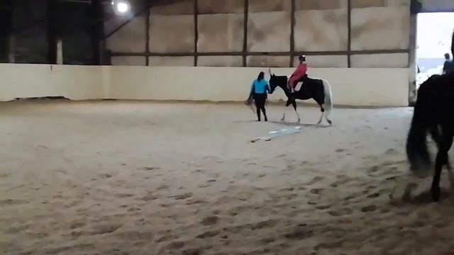 Урок верховой езды для начинающих. Часть 1 смотреть онлайн