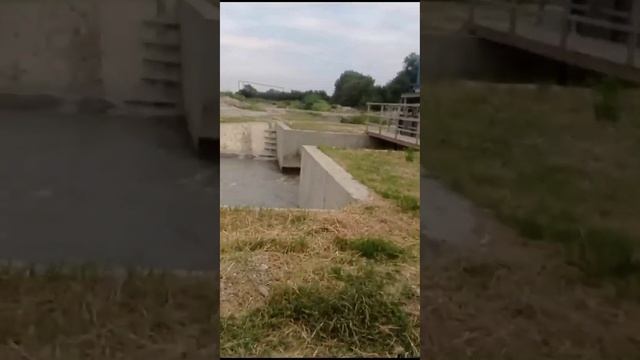 Мы поехали в странные места 🌊💧💦🐟🌲🌳 смотреть онлайн