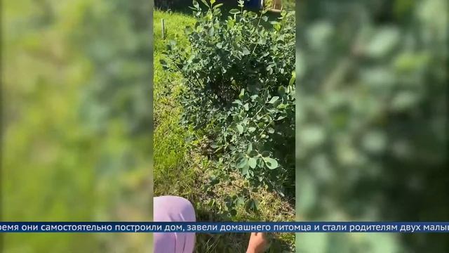 Блогер с грядки смотреть онлайн