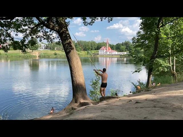 Тарзанка в Приоратском парке смотреть онлайн