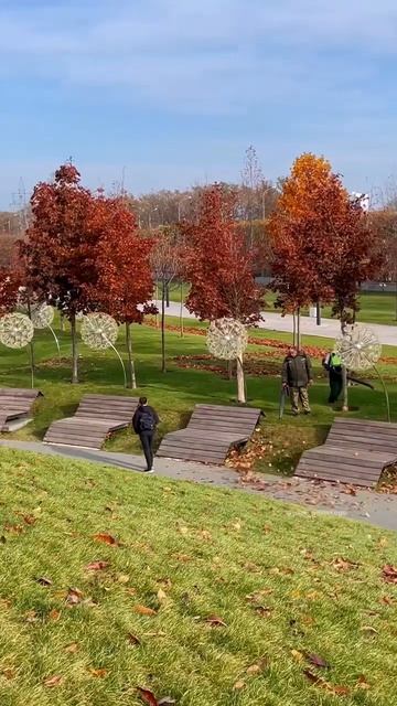 Парк Галицкого 🍁 Красный клён "даёт огня" #паркгалицкого #краснодар #парк #природа #осень #клён смотреть онлайн