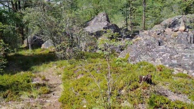 Алёнкины озёра. Горный Алтай. смотреть онлайн