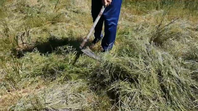 Косьба)))) смотреть онлайн