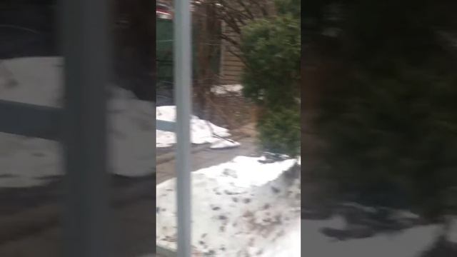 Улица Троицкая (Москва, метро Цветной бульвар) смотреть онлайн