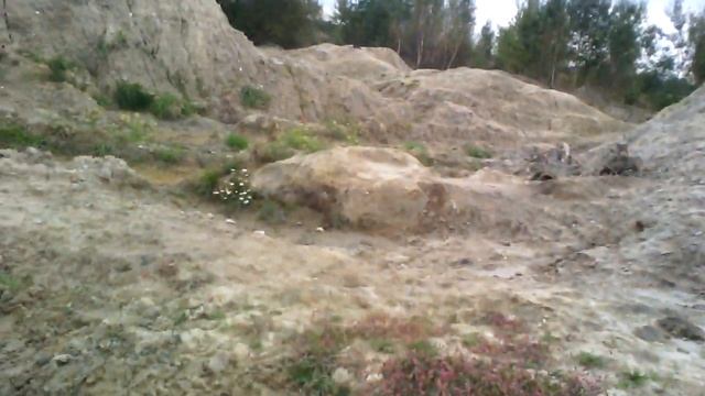 Шли шли и вышли..И охренели...Черный коп по настоящему. смотреть онлайн