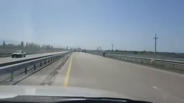 Коровы разгуливали по платной трассе Алматы-Хоргос смотреть онлайн