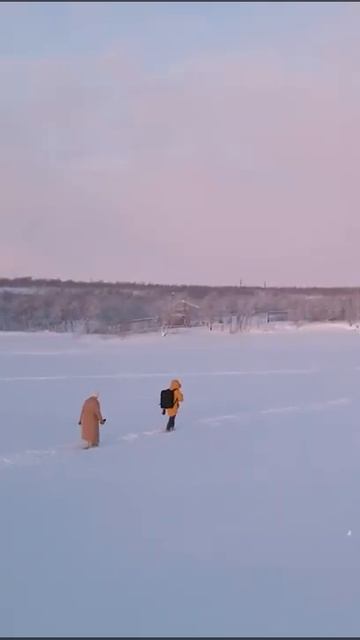 Video Aurora Village Igloo Norther Light Murmask Hotel Аврора Вилладж Отель видео #auroravillage смотреть онлайн