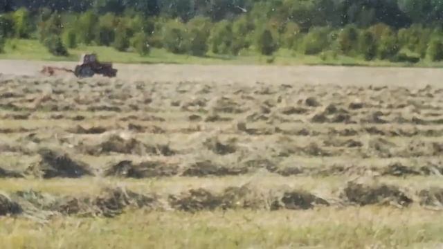 Заготовка сена смотреть онлайн