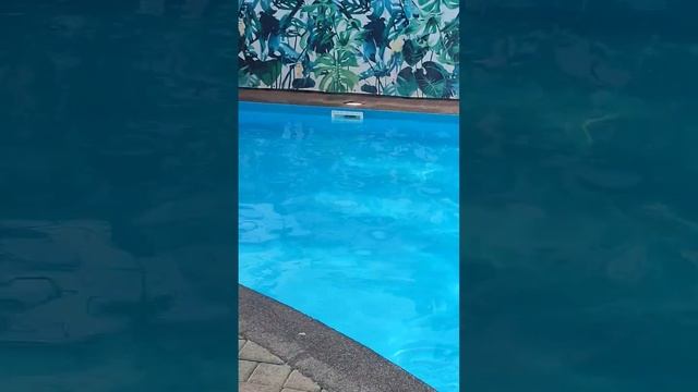 очень хорошая гостиница находится в городе Саратов название ее в комментариях . смотреть онлайн