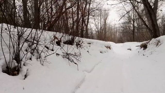 Прощальный поход | ТОННЫ СНЕГА | Лес и умиротворение | ПЕРЕЗАЛИВ смотреть онлайн