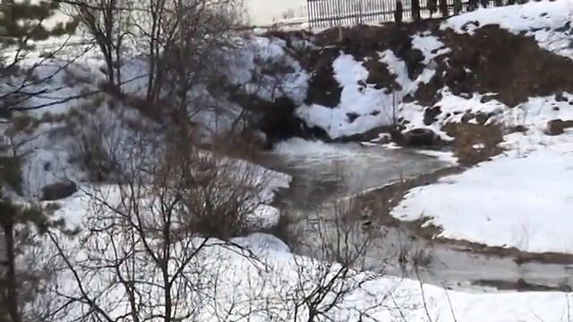 Весна на Глазынинском пруду смотреть онлайн