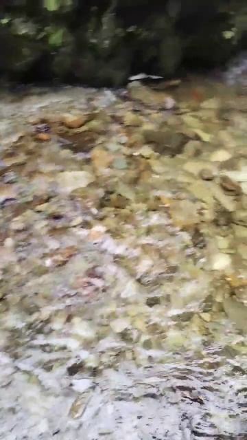 Водопад Эстюба около Телецкого озера, Горный Алтай #altai смотреть онлайн