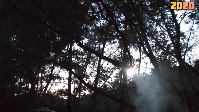 "Летние встречи." смотреть онлайн