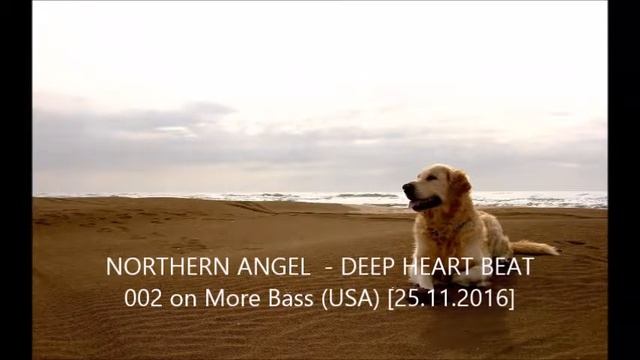 NORTHERN ANGEL DEEP HEART BEAT 002 on More Bass смотреть онлайн