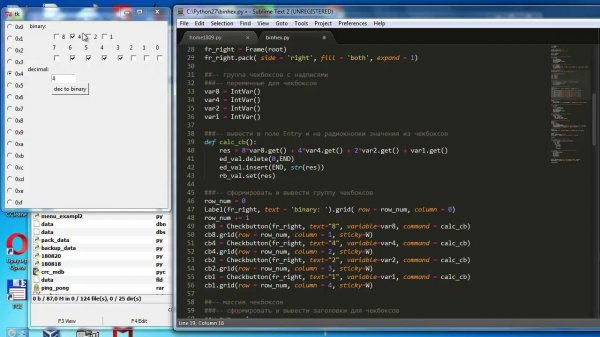 py054  Питон применение Radiobutton и Checkbutton