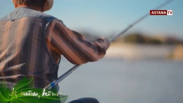 Астана - столица Казахстана смотреть онлайн
