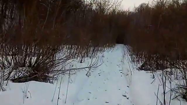 2018 год 11 апреля! Последняя прогулка на лыжах смотреть онлайн