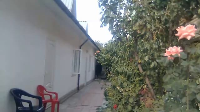 Всем советую кемпинг в Черноморском не дорого смотреть онлайн