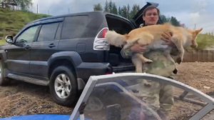 Старый Друг, лучше новых двух (30 лет одиночества 37 серия)