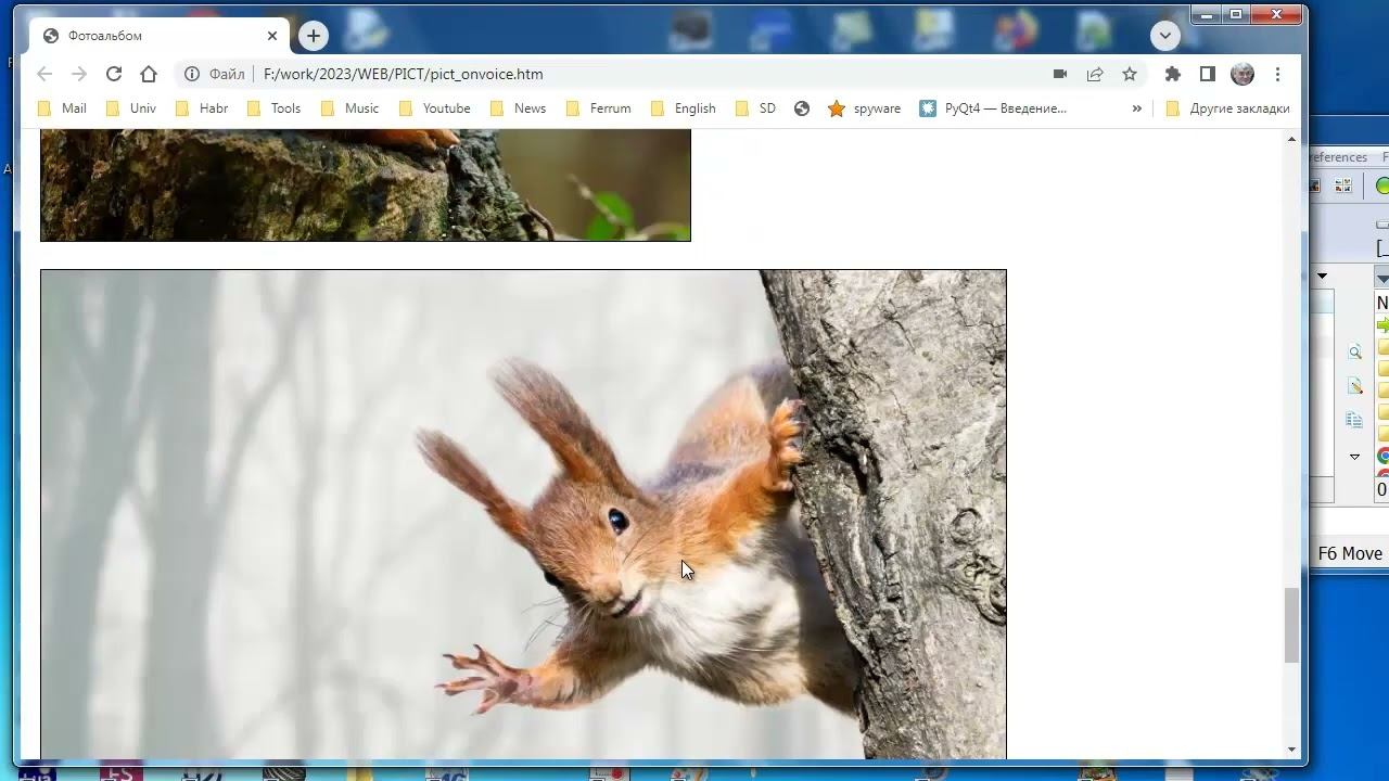 wb094 Простой фотоальбом смотреть онлайн